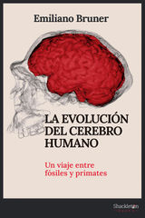 LA EVOLUCIN DEL CEREBRO HUMANO
CIENCIA