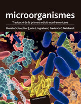 MICROORGANISMES