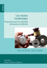 LAS CAUSAS INCIDENTALES
CANNICA