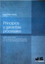 PRINCIPIOS Y GARANTAS PROCESALES