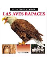 LAS AVES RAPACES