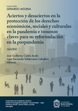 ACIERTOS Y DESACIERTOS EN LA PROTECCIN DE LOS DERECHOS ECONMICOS SOCIALES Y CULTURALES EN LA PANDEMIA E INSUMOS CLAVES PARA SU REFORMULACIN EN LA POSPANDEMIA
GERARDO MOLINA