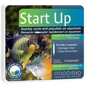 ProdiBio Start Up
