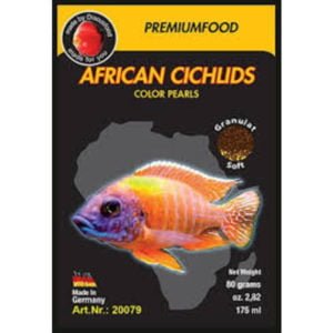 Exotica African Cichlid Color Indiefur.com