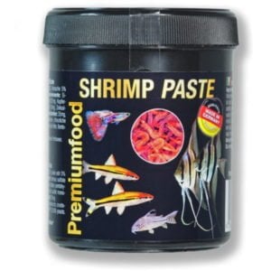 Exotica DiscusFood Shrimp Paste Indiefur.com