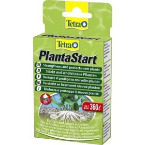 Tetra Planta Start Indiefur.com