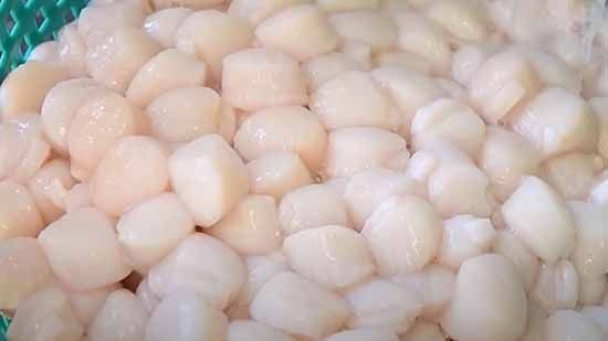Scallop Wars: The British-French Fishing ongoing dispute
