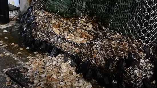 Scallop Wars: The British-French Fishing ongoing dispute
