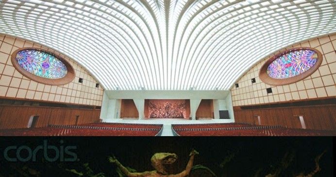 Pope Speaks from the mouth of the Serpent, a lying tongue.