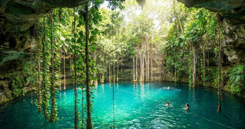 Lotes rústicos y campestres en Tixcacalcupul a minutos de Valladolid - Itzimná Real Estate Venta de terrenos en Tixcacalcupul cerca de Valladolid Yucatán ideales para inversión inmobiliaria