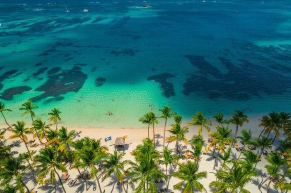 Aerial view of a tropical Punta Cana beach resort with turquoise ocean water, white sand, and palm trees