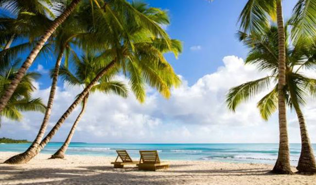 Two wooden lounge chairs on a beautiful tropical white sand beach with palm trees and clear turquoise water