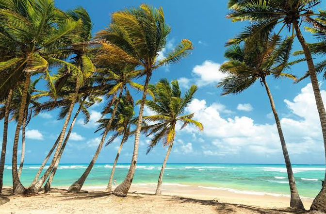 Hermosa playa tropical con altas palmeras, arena blanca y aguas turquesas bajo un cielo azul