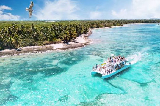 Aerial view of a party catamaran boat filled with people sailing through clear turquoise tropical water near a palm tree lined beach, with a seagull flying in the sky above
