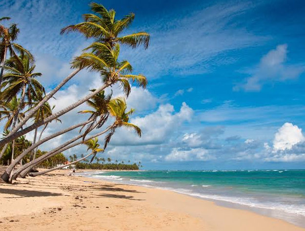 Tropical beach with leaning palm trees, white sand, and bright blue ocean