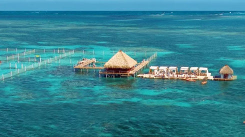 Things to see in Punta Cana