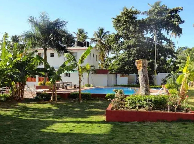 A tropical backyard with a swimming pool and lush greenery including palm and banana trees, a white villa in the background, a small planter, and a grassy area.