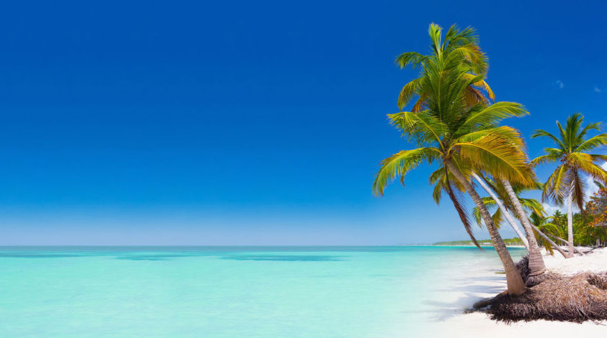 Playa Bavaro Punta Cana