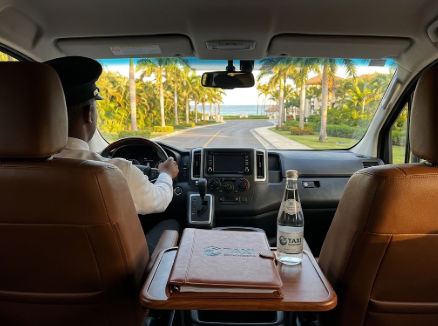 Luxury private taxi interior in Punta Cana, showing a uniformed chauffeur, premium leather seats, and palm trees toward the resort.