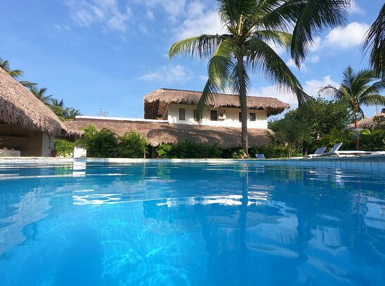 Aerial view of a tropical hotel garden featuring a blue swimming pool, striped lounge chairs around a large central palm tree, and a ping pong table on the green grass.