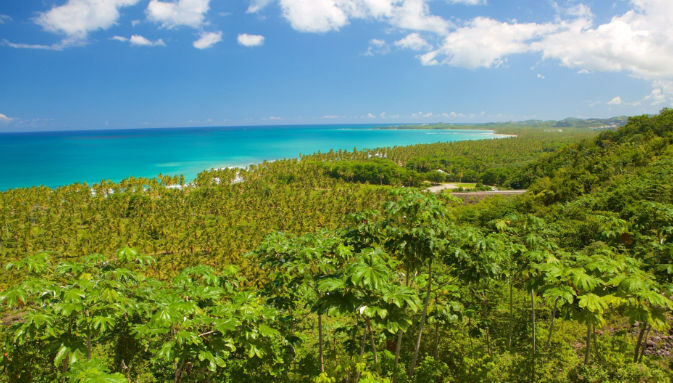 las terrenas travel guide