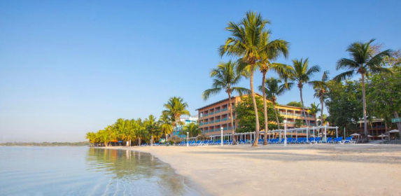 transfer to whala boca chica