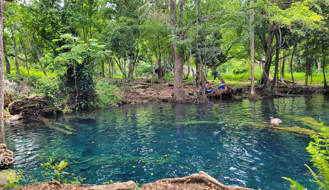 transporte a cenote hoyo claro punta cana