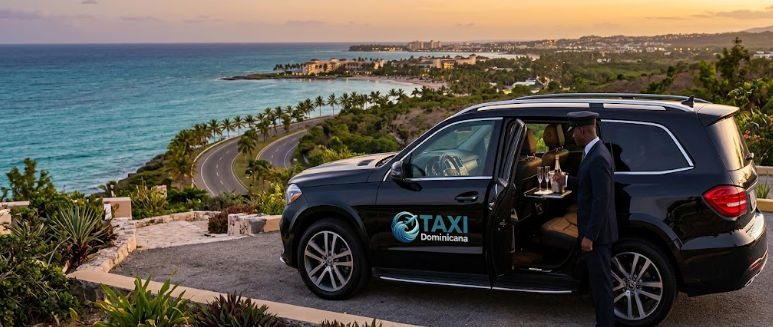 vip private driver dominican republic new year 2027