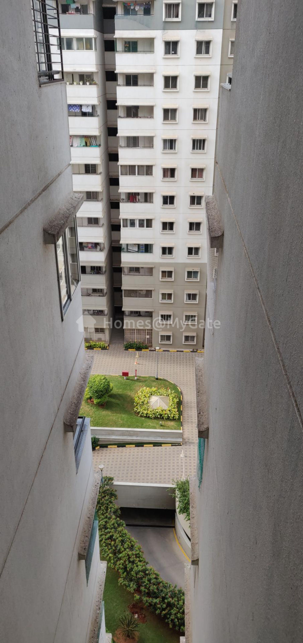 society image