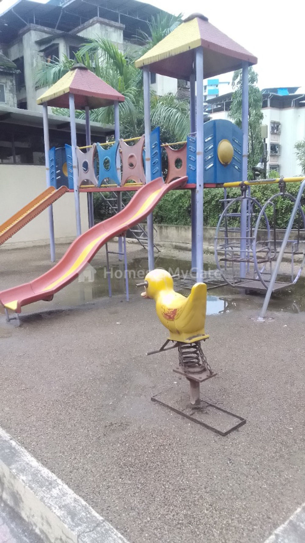 society image