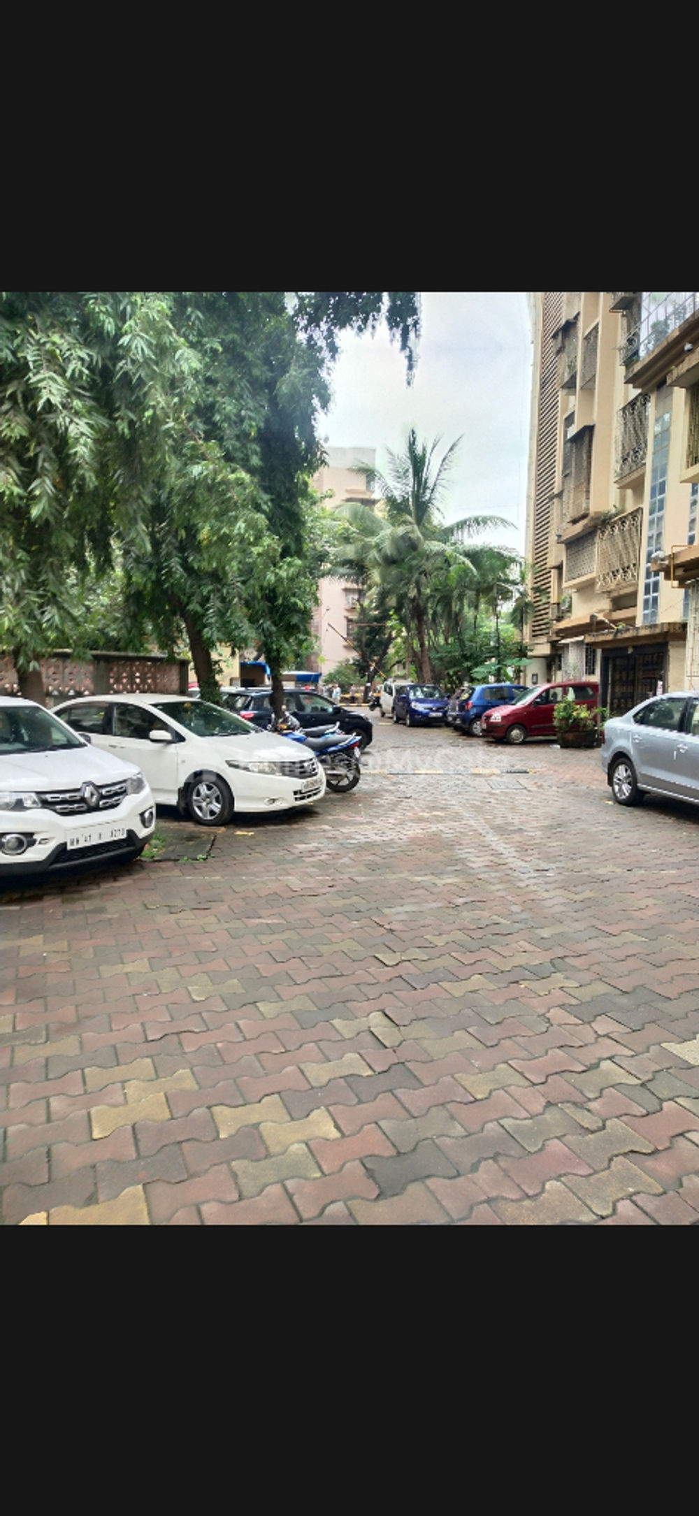 society image