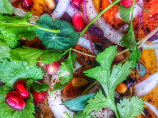 COSH vegan food Dolma Bruges