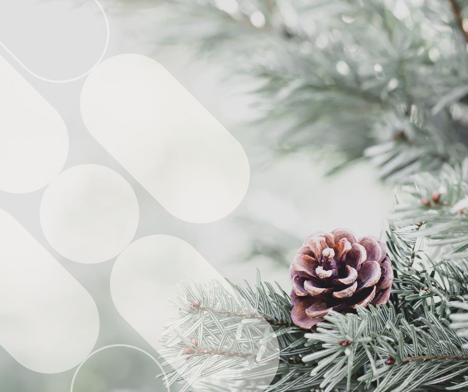 Christmas header 2