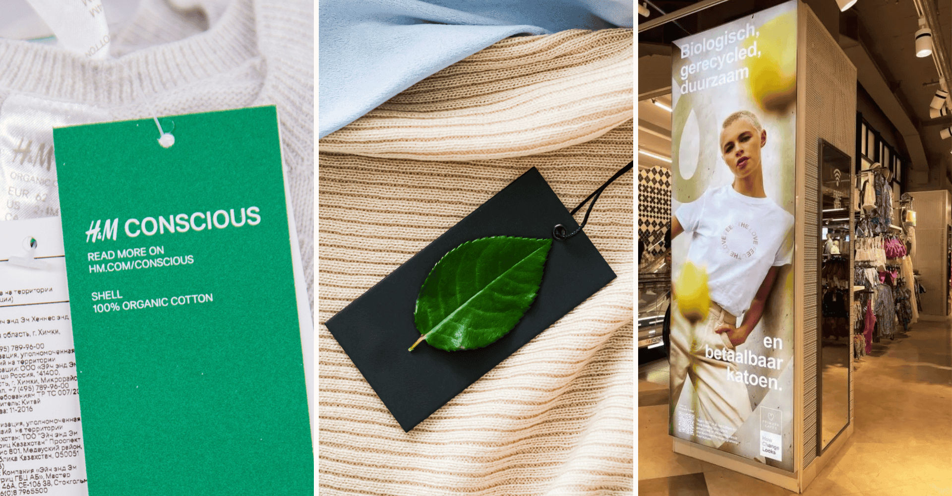 Emp Co Green Claims header blog cosh