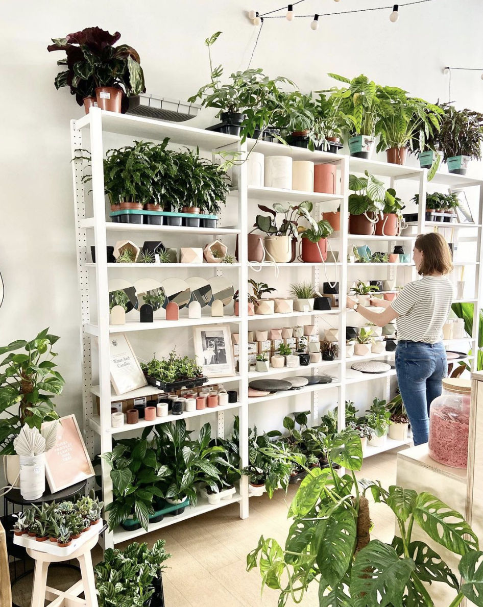 Houseraccon bloempotten ecologisch mechelen interieur
