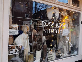 Rosa Rosas Amsterdam front store COSH