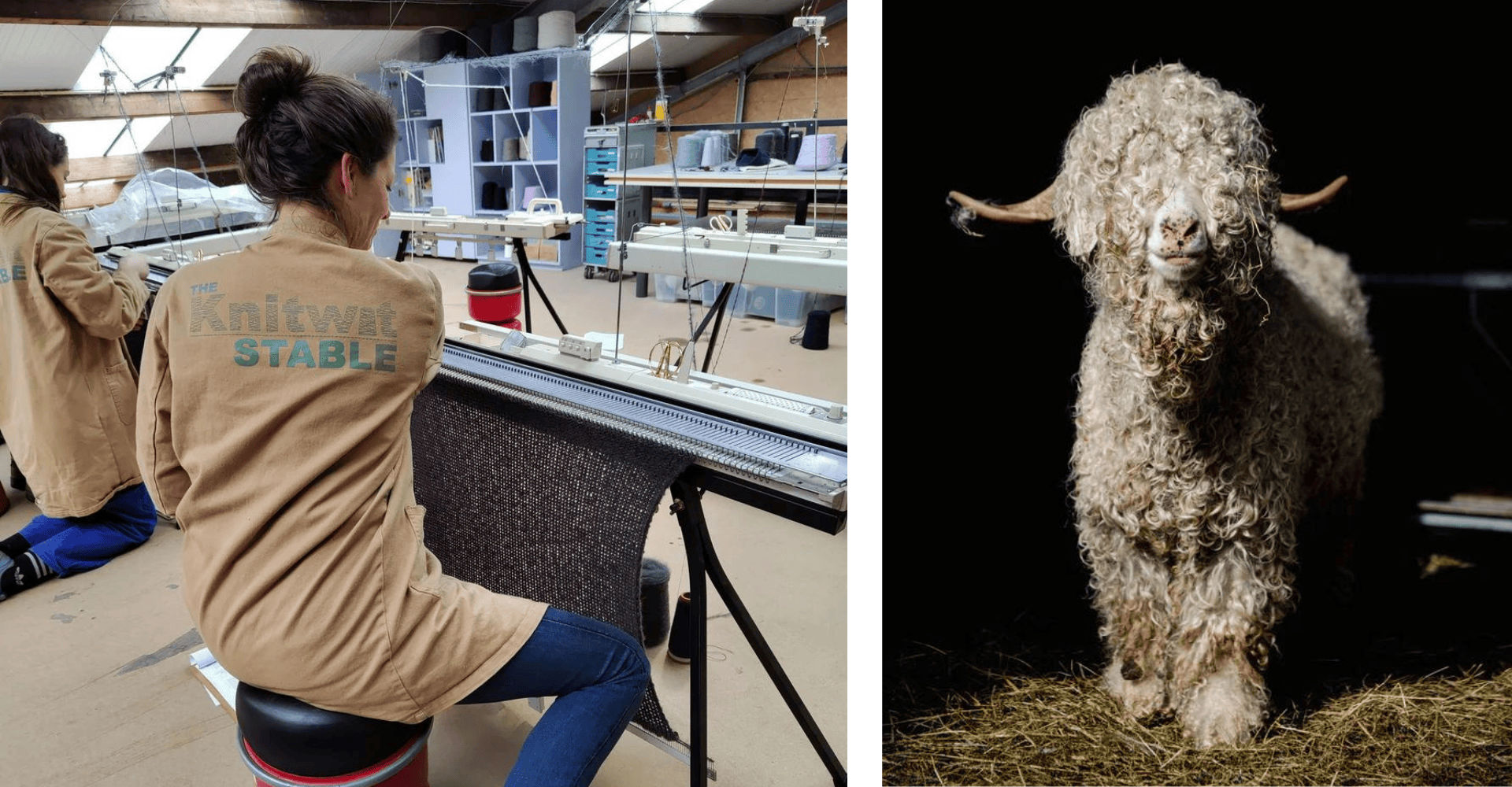 The Knitwit Stable 2