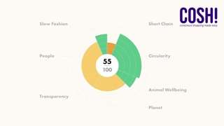Cosh brand index visual faq