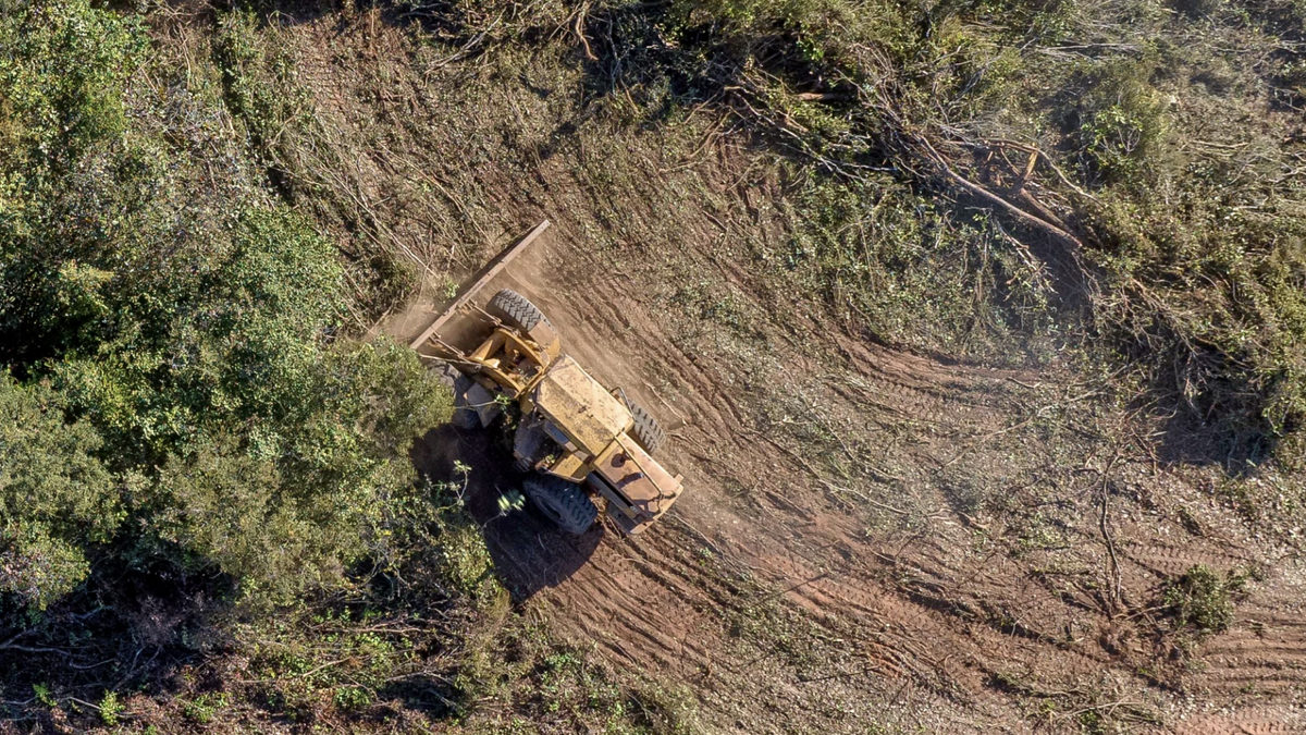 Earthsight deforestation brazil aerial image