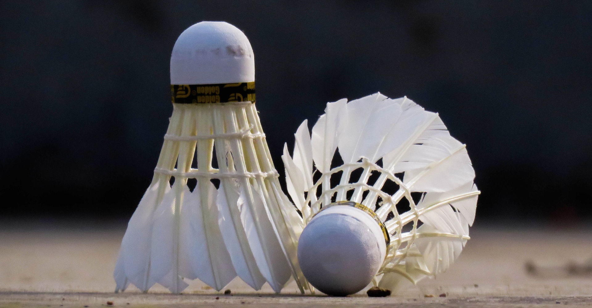 Event nochmall federball workshop berlin cosh