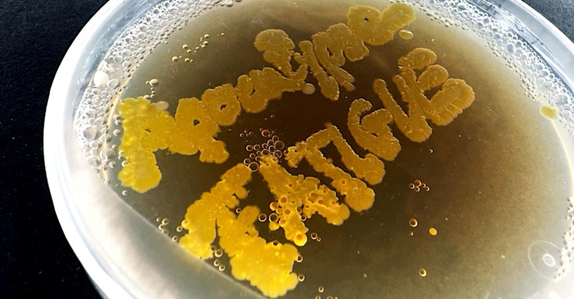 Event vernissage bea brückner fabric hamburg cosh