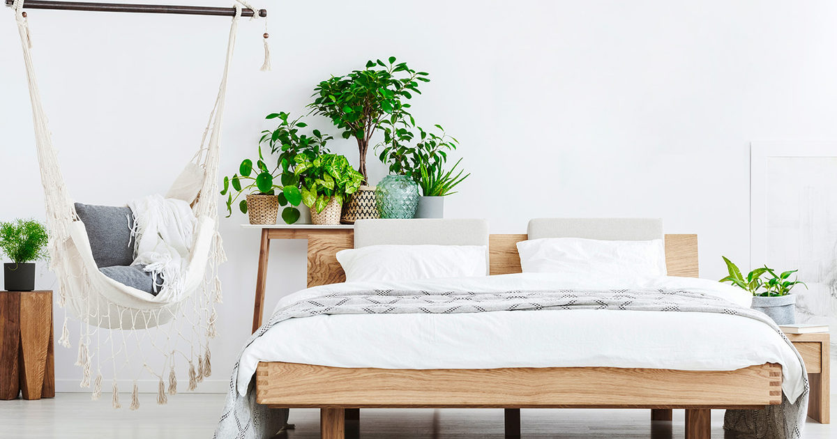 100% natuurlijke bedden, matrassen en Green… | COSH!