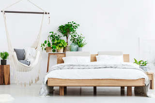 Greensleep by ergodome