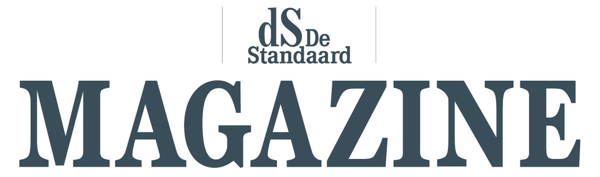 Logo dsmagazine