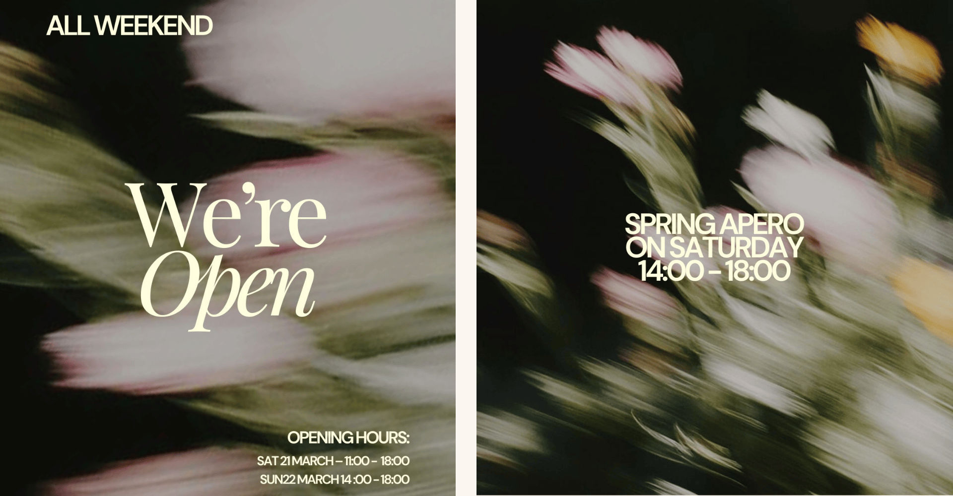 Mojave spring apero leuven event cosh