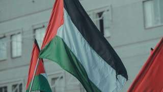 Palestine flag