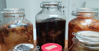 Sjette wol verven plant