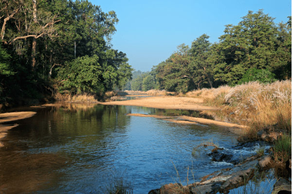 Kanha National Park