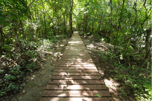 Sundarbans National Park