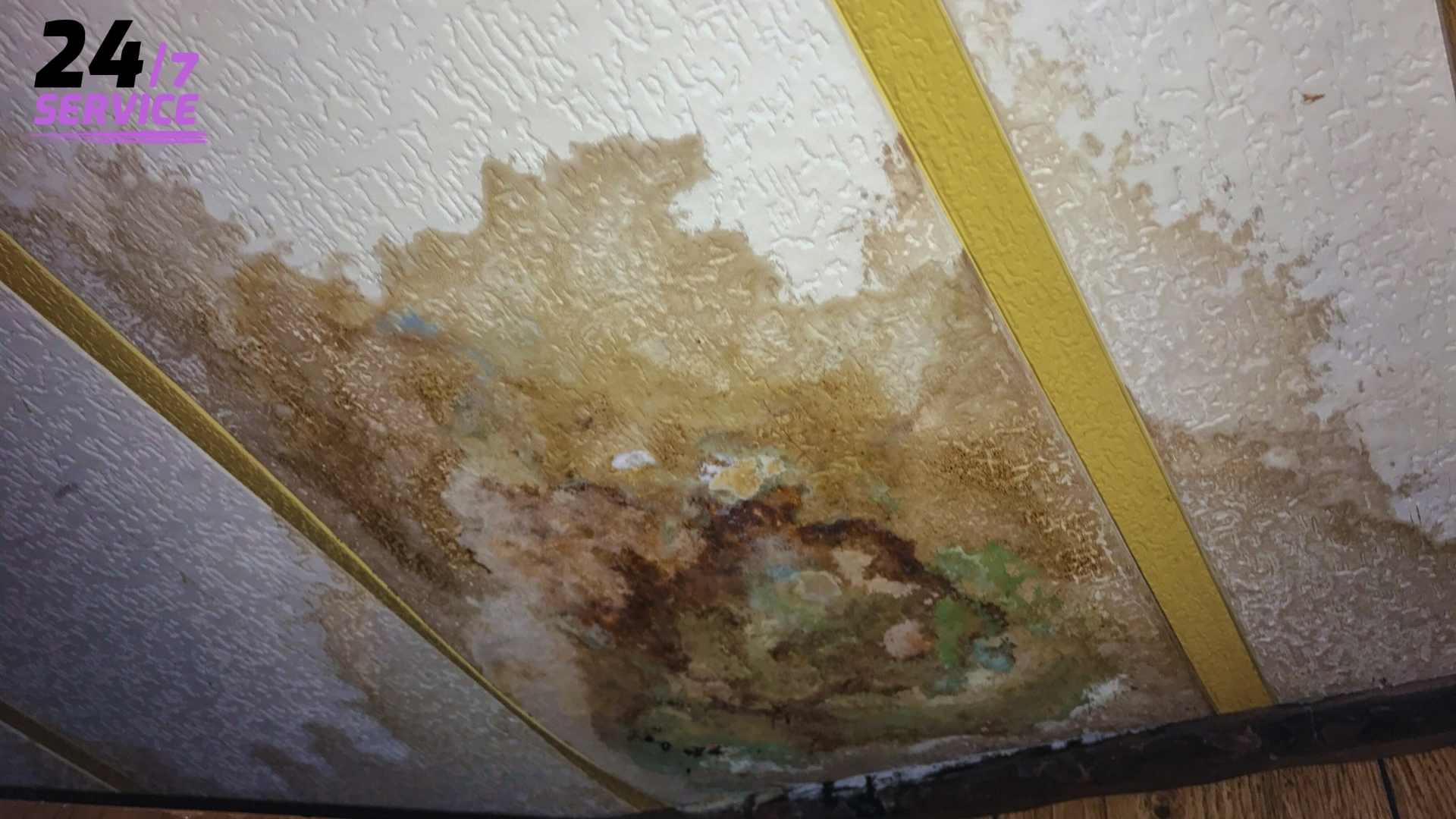 FAQS about Commercial Kitchen Water Damage Repair Services in Ninilchik, AK
